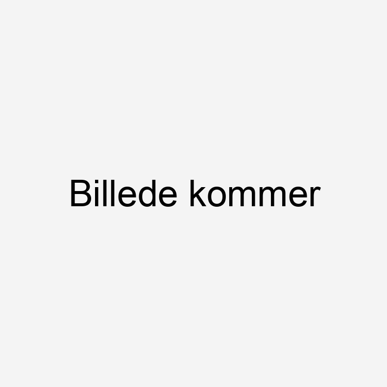 Billede kommer