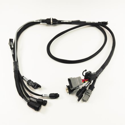 Harness, In-cap, VPR4 ISO